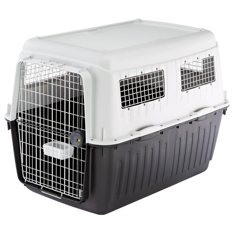 Ferplast Atlas Collapsible Pet Carrier with 1 Door Wayfair